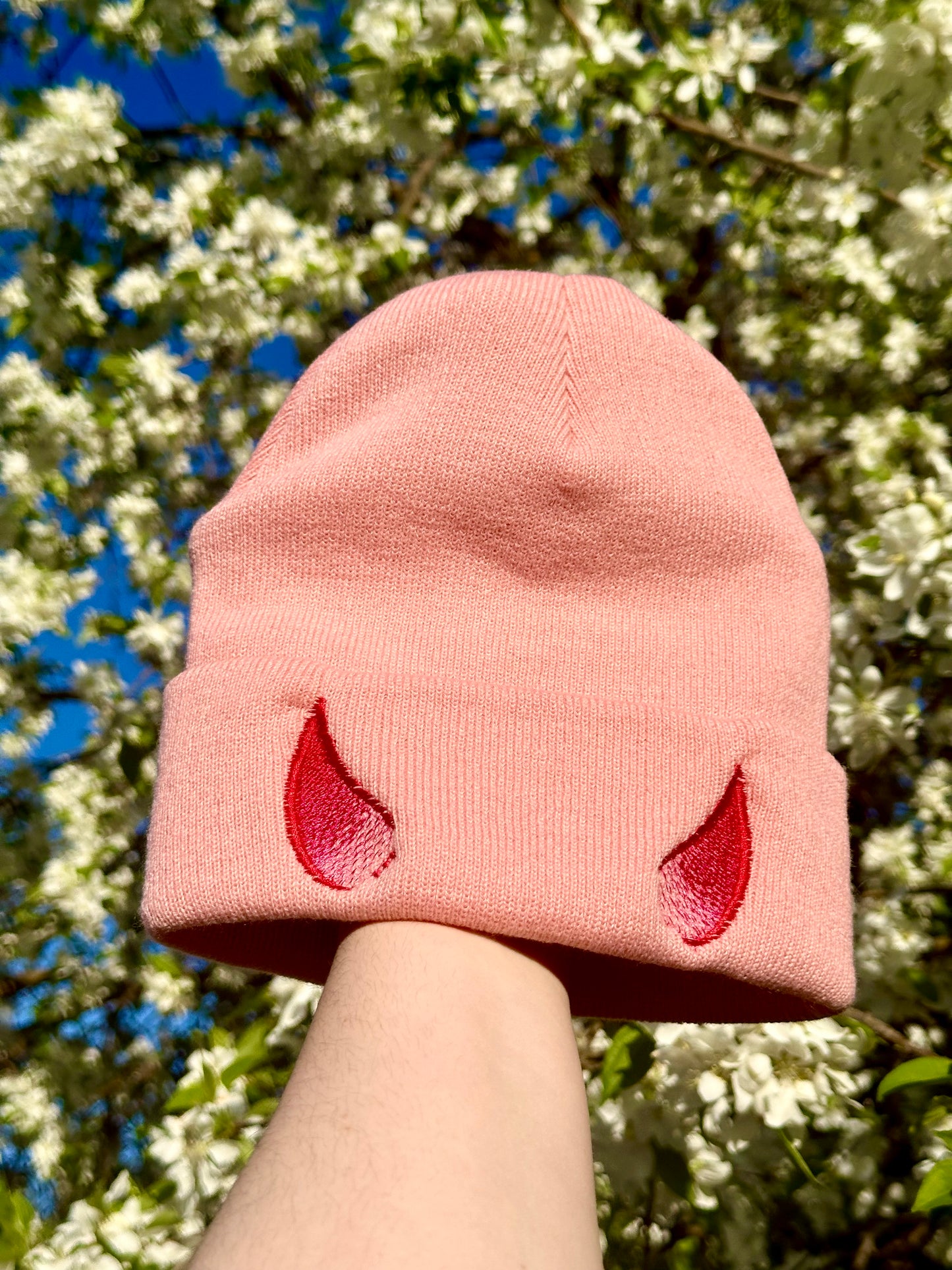 Pink & Blue Horns Beanie