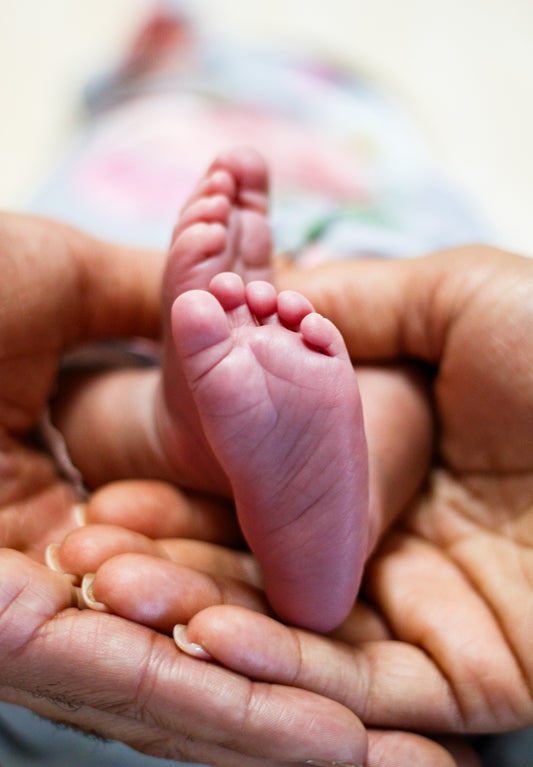 Newborn Photos